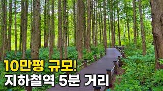 Best place where to stay in korea. Recommended by local Korean | Korea Travel