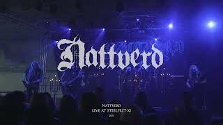 Nattverd - live at Steelfest XI, 2023