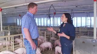 We took a Vlogger to an Iowa Pig Farm