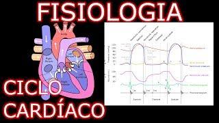 Aula: Fisiologia Cardíaca - Ciclo Cardíaco | Fisiologia Cardiovascular Humana #1