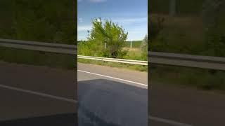 Ukraine Bread Basket of Europe Shout out to Olexander and his wife Diana #music @farm #Breadbasket