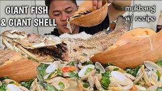 GIANT FISH | GIANT SHELL | MUKBANG SEAFOOD | MUKBANG PHILIPPINES | TOL BULOY MUKBANG