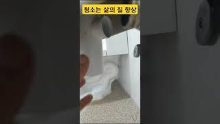 거주 청소 디테일링(By 투명인간)