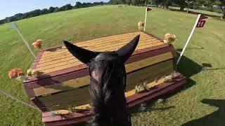 GoPro: Tullymurry Fifi (Open Intermediate | 2024 Summer II Horse Trials)