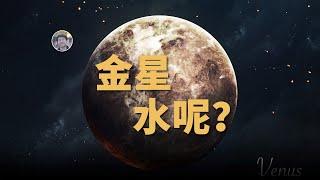 【天文新鮮事】最新研究揭示了金星上的水去哪了！JWST進一步證實種子黑洞！| Linvo說宇宙