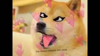 Strongest doge edit