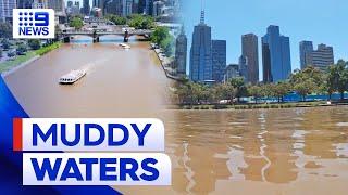 Yarra River impacted by heavy downpours across Victoria | 9 News Australia