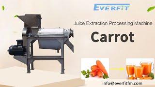 Carrot Juice Extraction Processing Machine