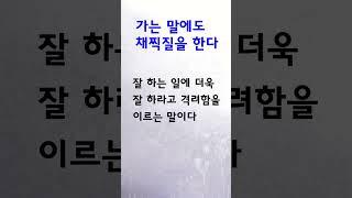 유익한 한줄기 속담 가는 말에도 채찍질을 한다