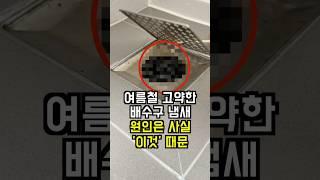 여름철 배수구 냄새의 원인을 드디어 알아냈습니다! 절대 냄새 안나는 배수구 청소 꿀팁