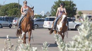 Clus Dry Cross  - riding in town - Valley View Ranch