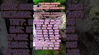 Кому весна принесет стабильность и материальное благополучие  lrbailey79  #гороскоп #знакизодиака #а