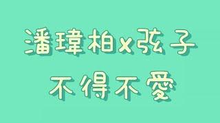 潘瑋柏x弦子 - 不得不愛【歌詞】