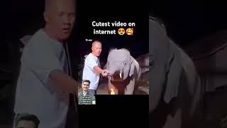 Best birthday celebration #animals #cute #love #subscribe for more