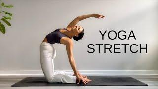 15 Minute Yoga Stretch Break | Open Your Body & Feel Amazing!