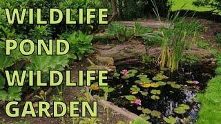 Wildlife Pond and Wildlife Garden.