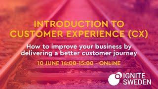 Introduction to Customer Experience (CX)