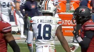 Seth Williams 2020 Highlights | Auburn WR