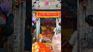 श्री बांकेबिहारी जी के संध्या दर्शन  bankebihari mandir vrindavan #bankebihari #vrindavan