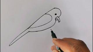 Parrot Drawing drawing easy to draw | Parrot drawing art