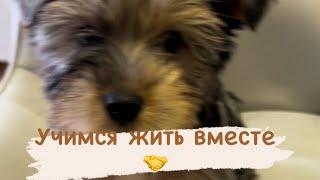 Учимся жить все 