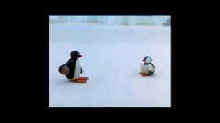 Pingu Cannot Lose Clip - Pingu Official Channel