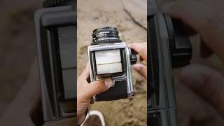 Hasselblad 500CM by the water #photography #hasselblad