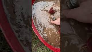 Oddly Satisfying Mud Cleaning | Revealing Hidden Treasures #oddlysatisfying #satisfying