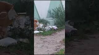 Видео от ЧП Новомосковск