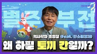 토끼가 달에서 빻고 있는 것은 떡이 아니다?!