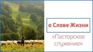 Андрей Бакала О Слове Жизни. «Пасторское служение»