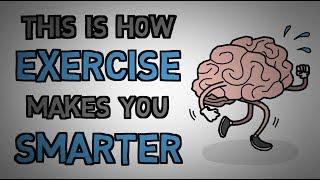 Exercise Makes You Smarter - This Is Why (animated)