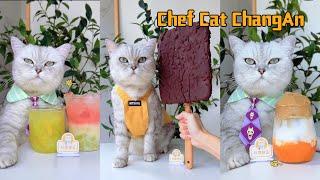 The cat chef made the biggest ice cream and summer treat#catofyoutube #catcookingfood #food