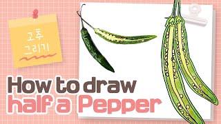 How to Draw Half a Pepper Step by Step [Soojbear]