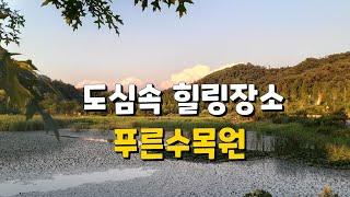 #5(서울여행) 서울 푸른수목원.산책하기좋은길.걷기좋은길 