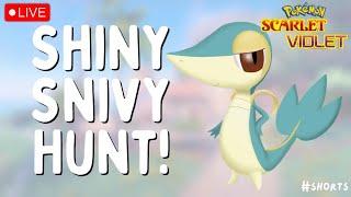  I HATCHED SHINY SNIVY! (masuda method) | Live Stream | Pokemon Scarlet Violet