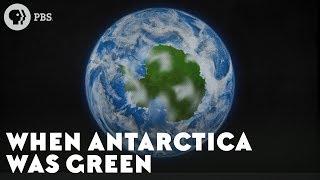 When Antarctica Was Green