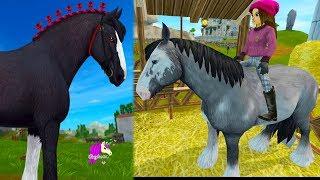 Beautiful Clydesdale Horse ! Buying New Horses in Star Stable - Roleplay Video