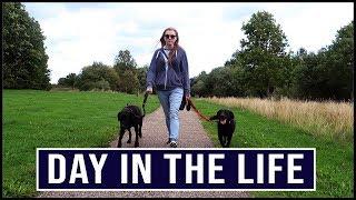 Day In The Life | CYSTIC FIBROSIS + DOG WALKER