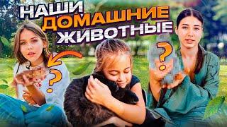 Домашний зоопарк SAM KIDS! ВЛОГ ПРО ЖИВОТНЫХ