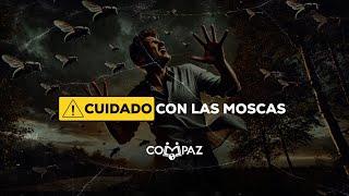 Cuidado con las moscas | Wilfredo Mirón | Vladimir Rivas