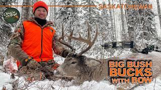 Bow Hunting Mature Whitetail Bucks in the Big Woods of Saskatchewan | Canada in the Rough