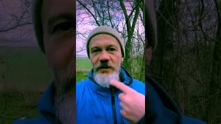Почему Благодарность Не Работает? Смотри весь урок #наставник