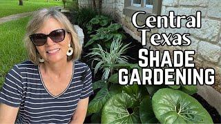 Central Texas Shade Gardening