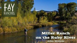 Montana Ruby River Fishing Property For Sale | Miller Ranch on the Ruby River | Alder, MT