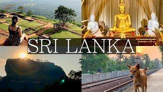 7 Days in Sri Lanka Vlog | Sigiriya, Kandy, Dambulla, Galle, Unawatuna, Colombo