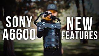 Sony a6600 // 5 NEW FEATURES [vs. a6400 & a6500]