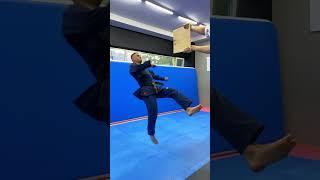 TAEKWONDO KICKS / TAEKWONDO TRICKS