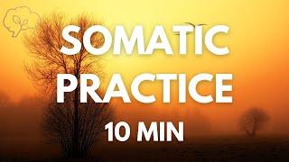 Somatic Exercises for Nervous System Regulation | 10 Min Guided