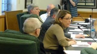 Supervisor Joanne Yepsen speaks at animal shelter hearing